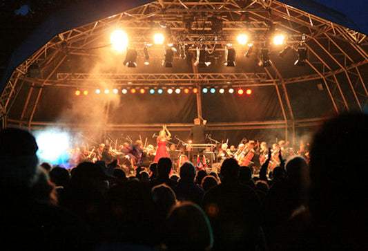 "Perfect Pitch" Concert