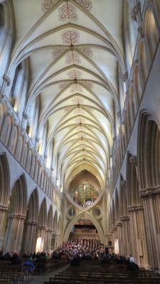 The Kingdom - Wells Cathedral